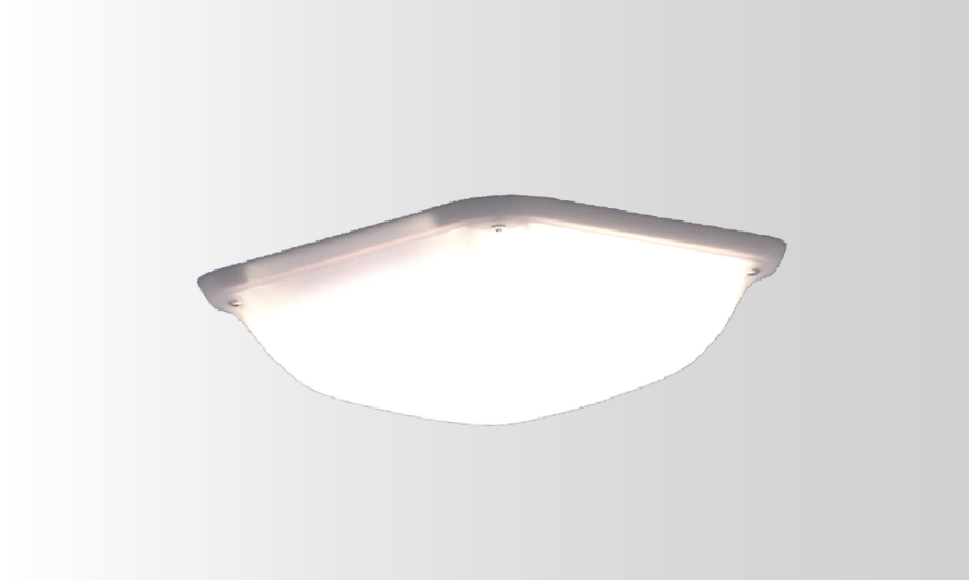 Enduralux LED Bulkhead